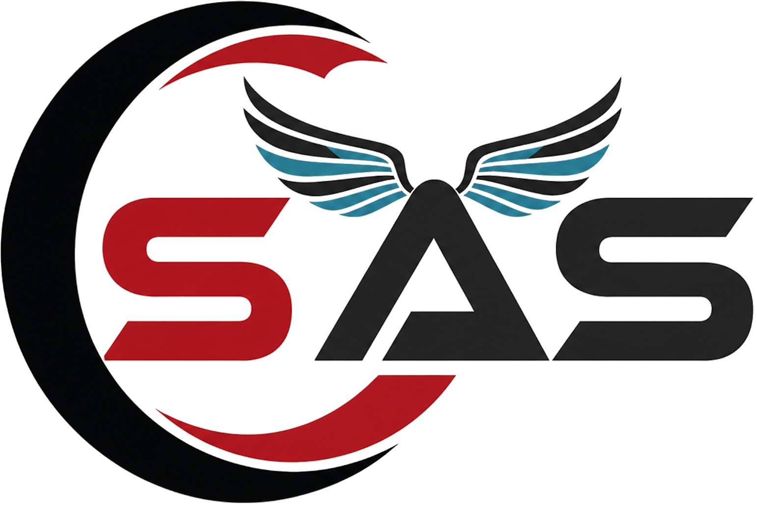 SAS Logo